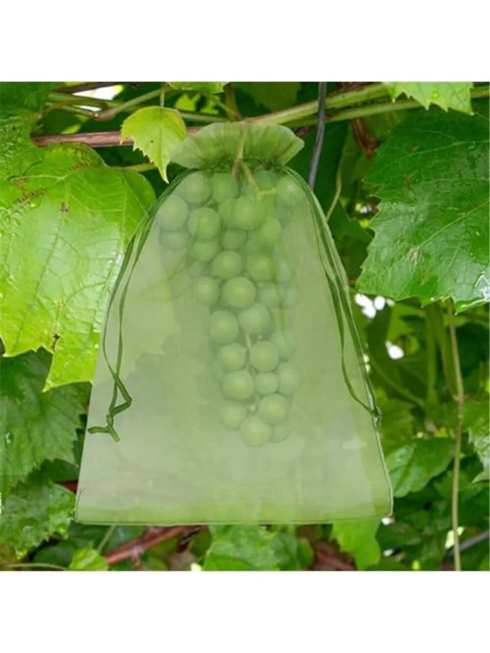 100 Pcs Fruit Protection Bags 8 x 12 Inch Green Netting Cover Bags